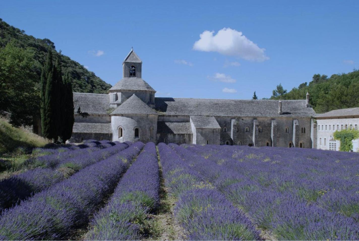 Le Clos Du Moulin - Maison 2 * Entraigues-sur-la-Sorgue