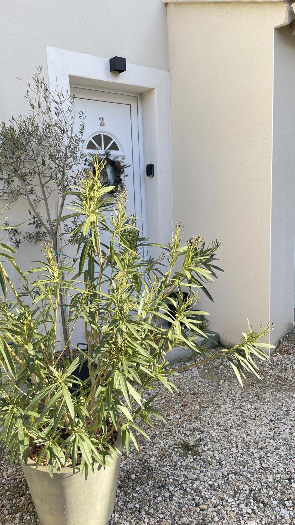 Le Clos Du Moulin - Maison 2 Hébergement de vacances Entraigues-sur-la-Sorgue